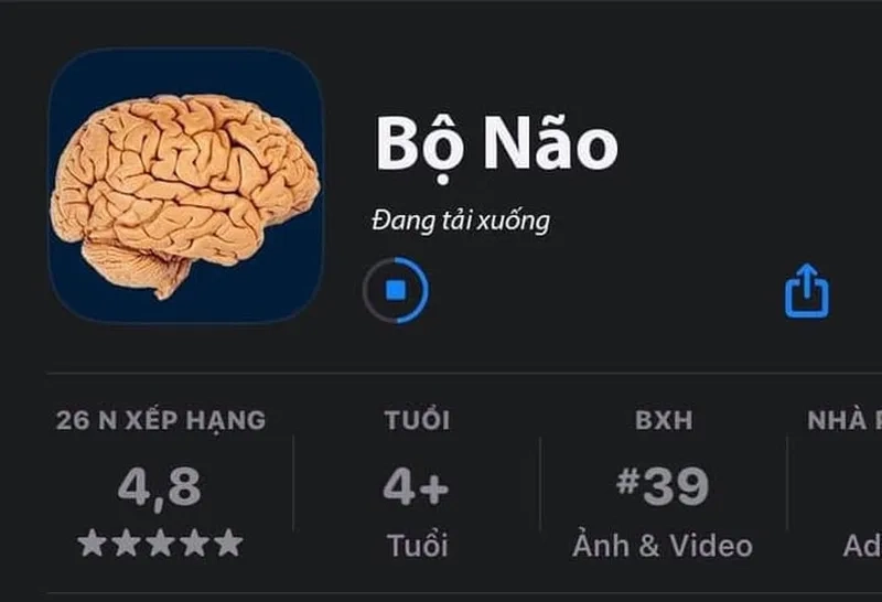 Mèo mặt ngu, biểu cảm huyền thoại của làng meme!