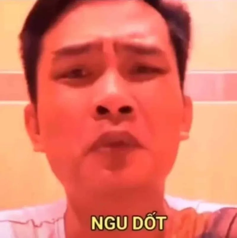 Ảnh meme ngu nhưng hài hước khiến ai cũng bật cười!