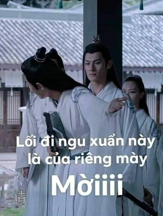 Nguyen meme hài hước, đậm dấu ấn Việt Nam!