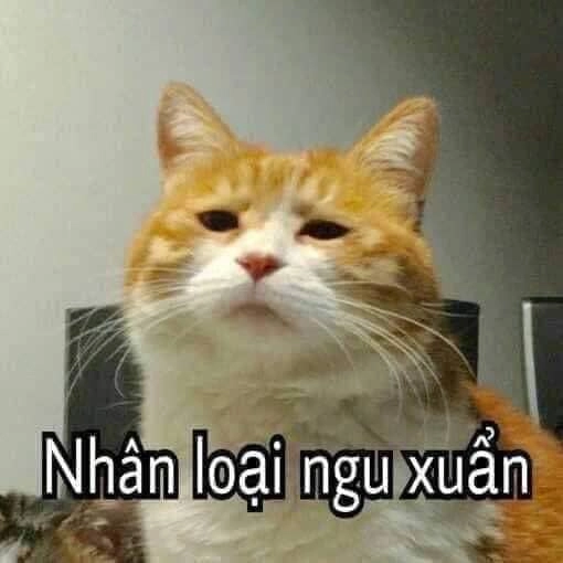 Thuốc trị ngu meme độc đáo, dân mạng tranh nhau tìm!