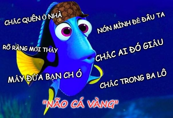 Ngu dốt nhưng meme này lại cực kỳ hài hước!