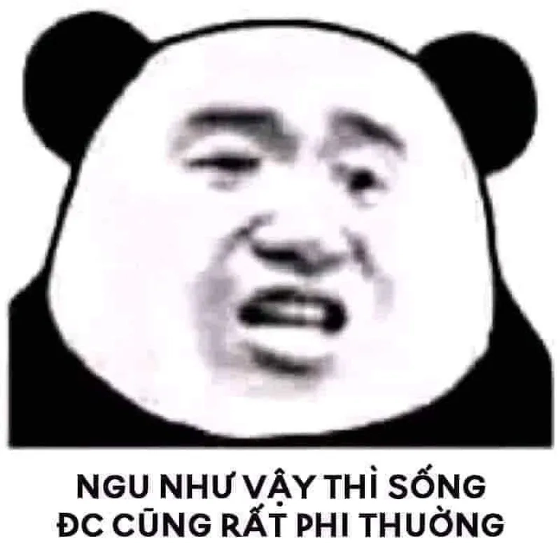 Ngu dốt nhưng ảnh meme này lại cực kỳ hài hước!