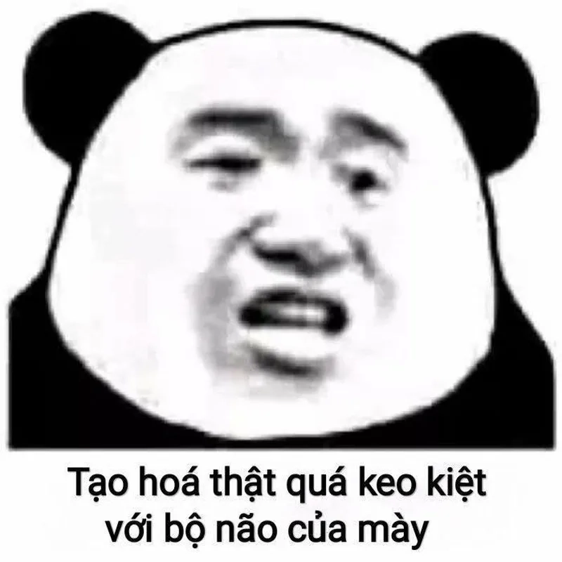 Người nhện meme siêu hài, xem một lần là nhớ mãi!