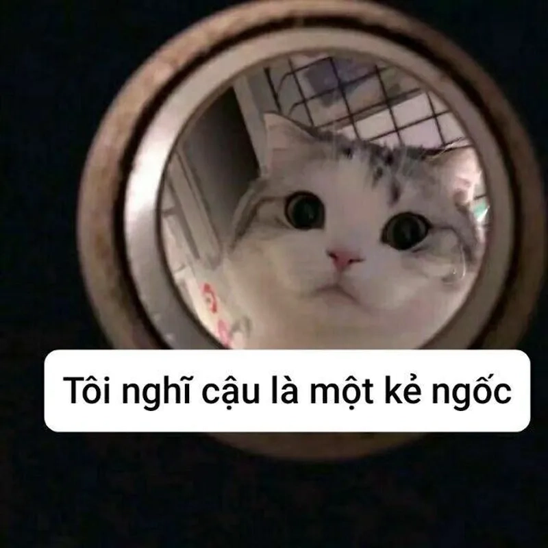 Chúc ngủ ngon nhưng meme lại làm ai cũng tỉnh cười!