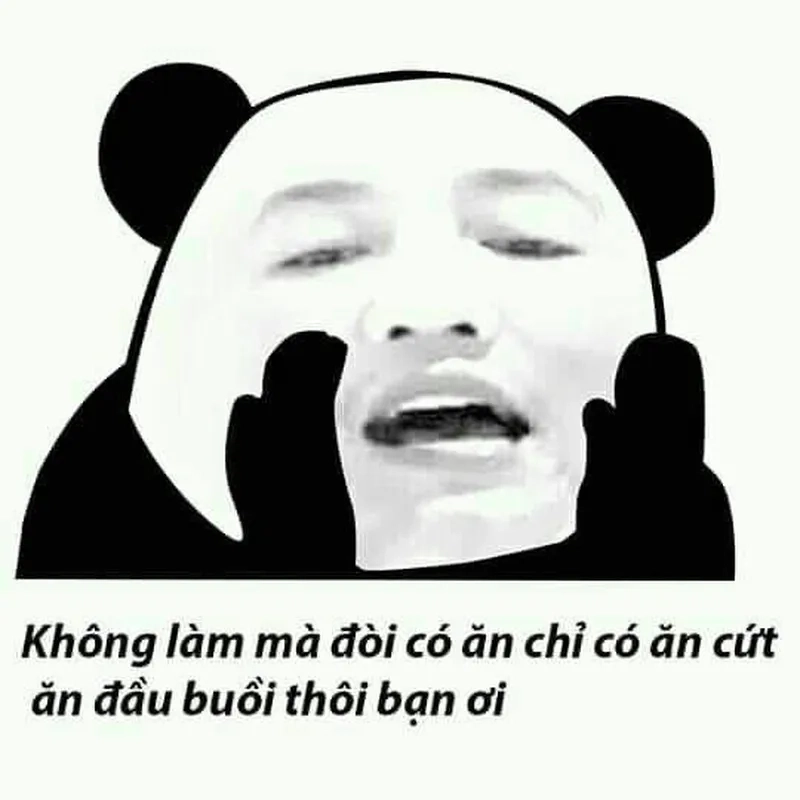 Mãn nguyện không tưởng, xem meme này lại càng vui!