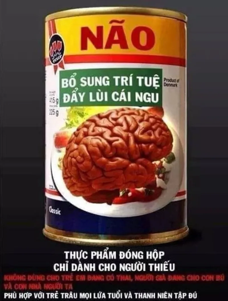 Ngu thì nín nhưng không ai nhịn được cười với meme!