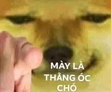 Cười nguy hiểm không tưởng, xem meme lại càng vui!