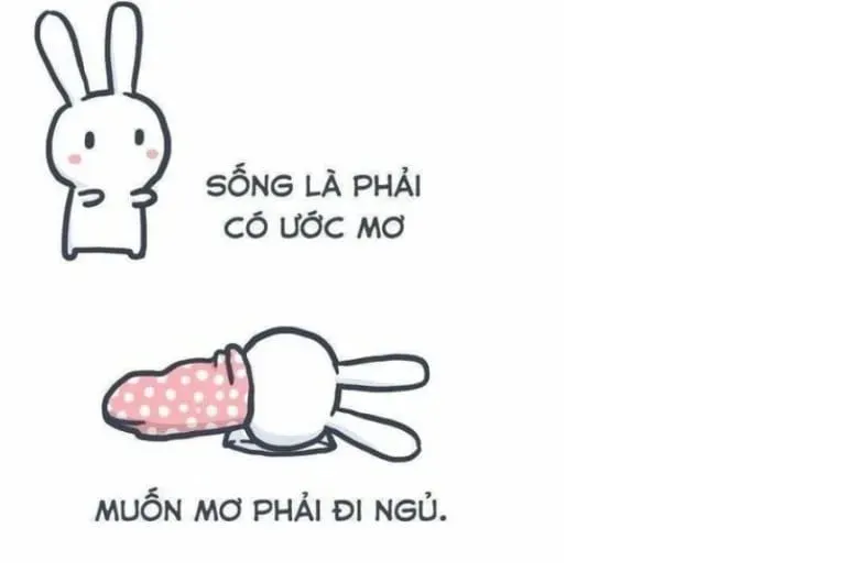 Chúc ngủ ngon với meme mèo dễ thương, tạo cảm giác yên bình.