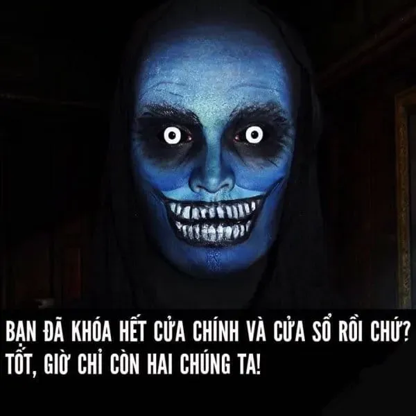 Mèo buồn ngủ meme, dễ thương và mang lại cảm giác thư thái.