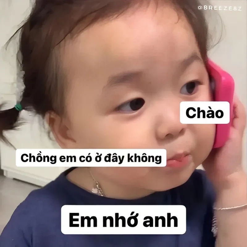 Meme mèo nhớ người yêu đáng yêu, chạm đến trái tim của bạn.