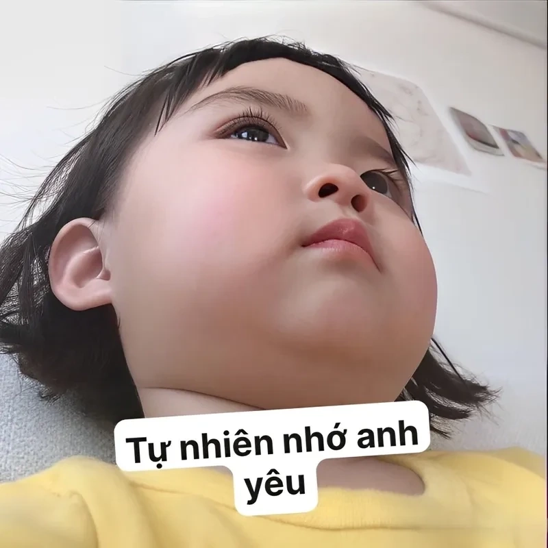 Meme đáng yêu làm trái tim bạn tan chảy bởi sự ngộ nghĩnh.