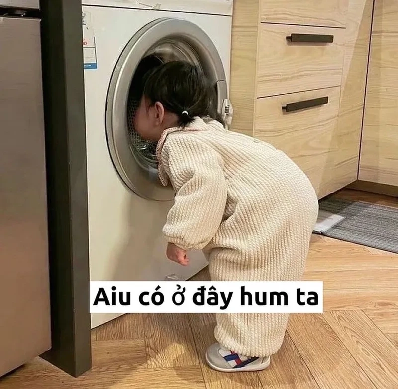 Meme mèo nhớ ngộ nghĩnh, dễ thương làm ai cũng yêu thích.