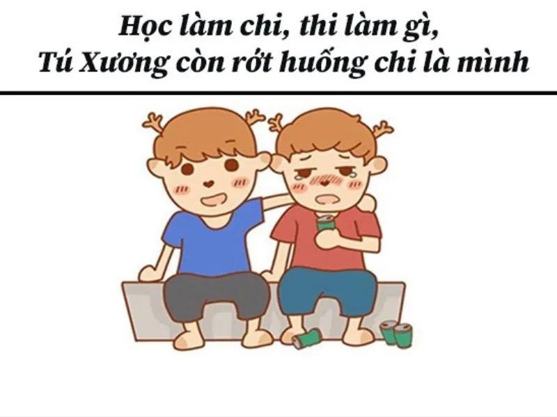 Mèo ôm đầu dễ thương, khiến bạn cảm thấy bình yên.