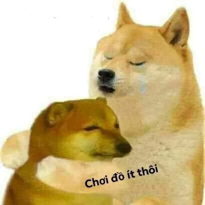 Meme hôm nay lên mạng đủ rồi, khiến bạn bật cười.