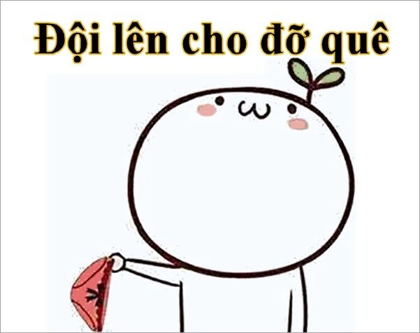 Ngủ quên meme khiến bạn thấy dễ chịu với những giây phút thư giãn.