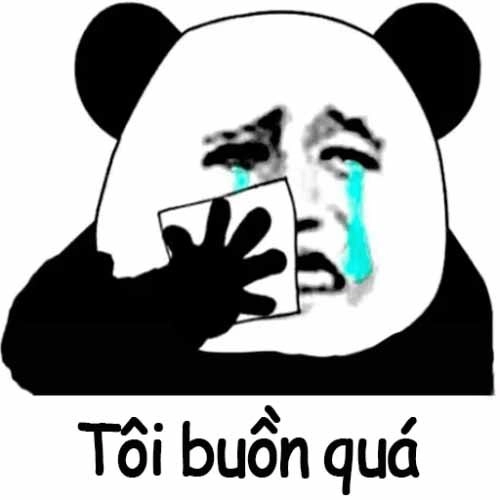 Sad hamster meme lan tỏa cảm xúc buồn đáng yêu.