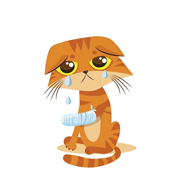 Sad cat meme chạm đến trái tim với nét buồn ngộ nghĩnh.