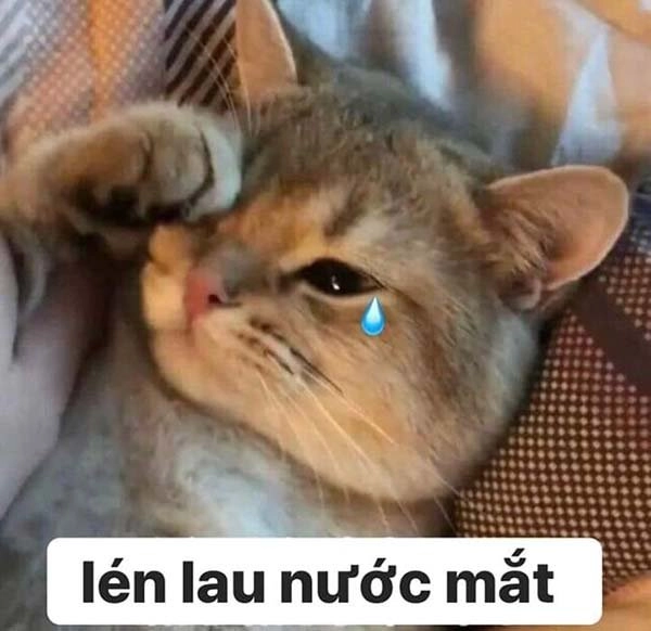 Sad emoji meme tạo điểm nhấn cho cảm xúc ngày buồn.