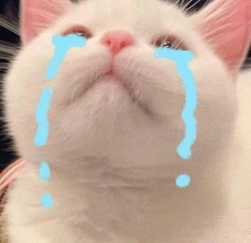 Sad boy meme là lựa chọn hoàn hảo cho tâm trạng trầm lắng.