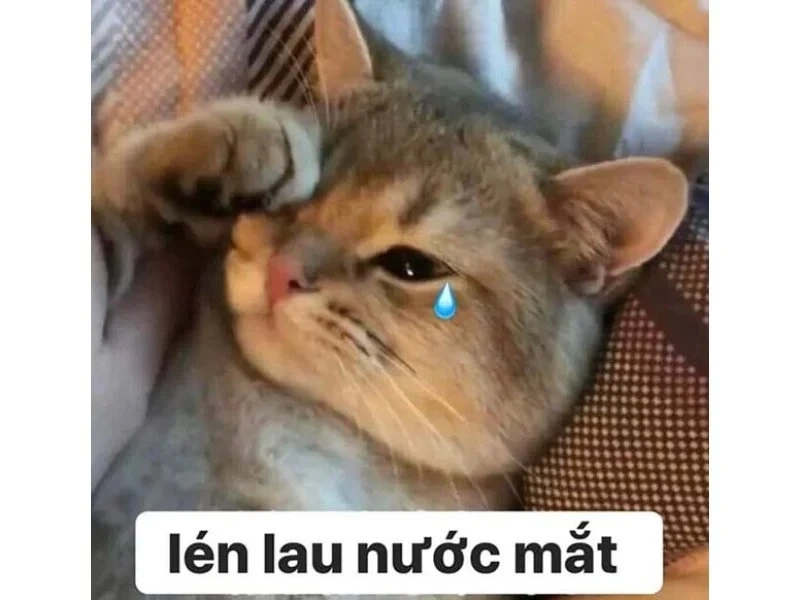 Ảnh sad boy meme làm nổi bật nét tâm trạng trầm tư.