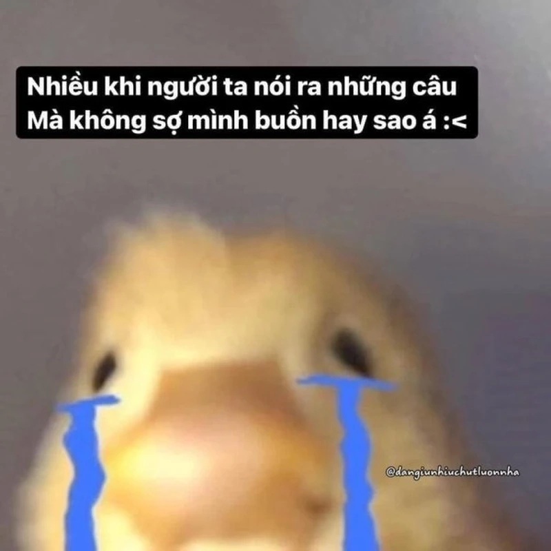 Sad hamster meme sound làm meme thêm phần sống động.