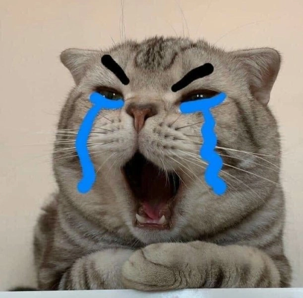 Sad mouse meme truyền tải nét buồn dễ thương.