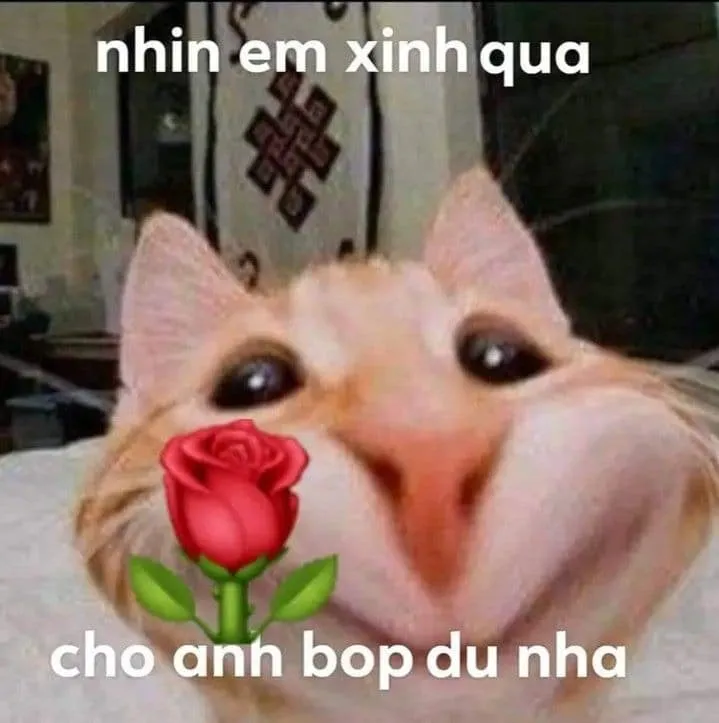 Meme chó tặng hoa mang đến cảm giác vui vẻ và ấm áp cho người nhận.