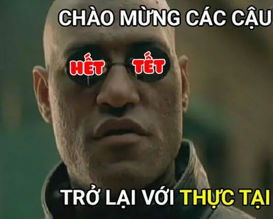 Ảnh meme Tết 2024 tràn ngập sắc xuân và niềm vui ảnh meme tết 2024.