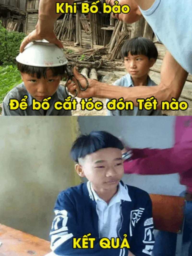 Avatar Tết meme mèo ngộ nghĩnh mang không khí lễ hội avatar tết meme mèo.