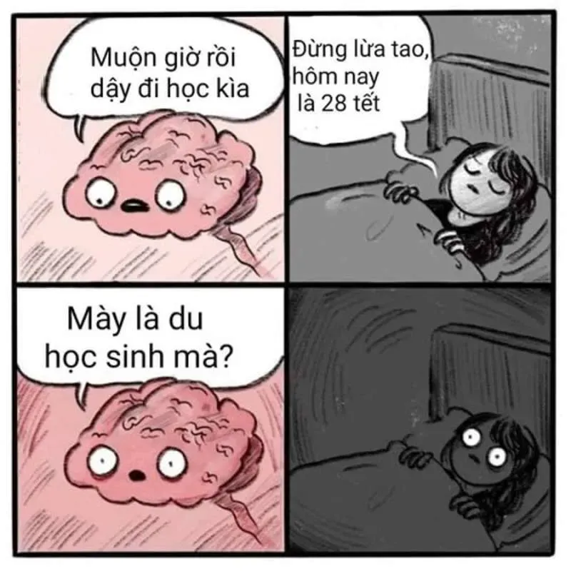 Mèo meme đón Tết ngộ nghĩnh và hài hước, phù hợp cho không khí Tết mèo đón tết meme.