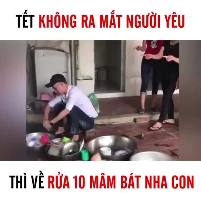 Avatar Tết mèo meme sáng tạo, tràn ngập niềm vui ngày xuân avatar tết mèo meme.