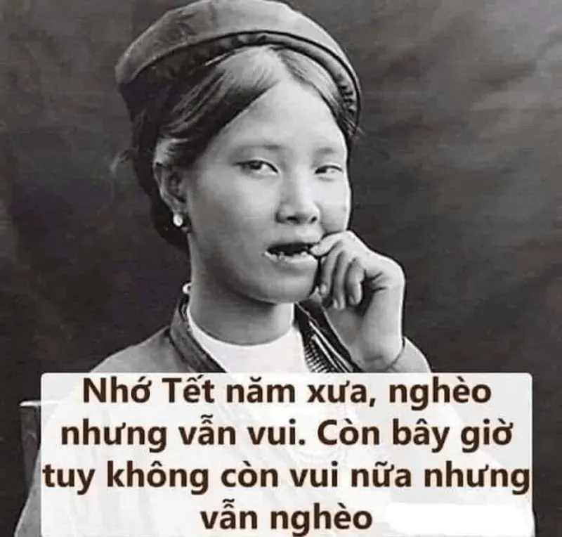 Mèo đánh bài Tết, meme siêu hài mang không khí xuân!