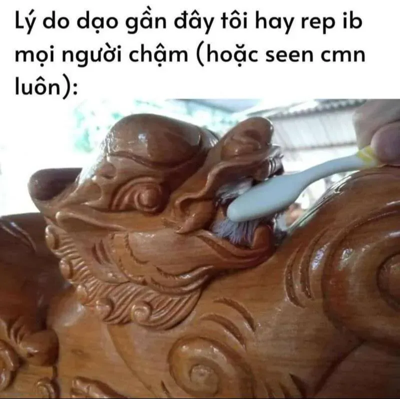 Mèo chúc Tết vui vẻ, meme lan tỏa tiếng cười!