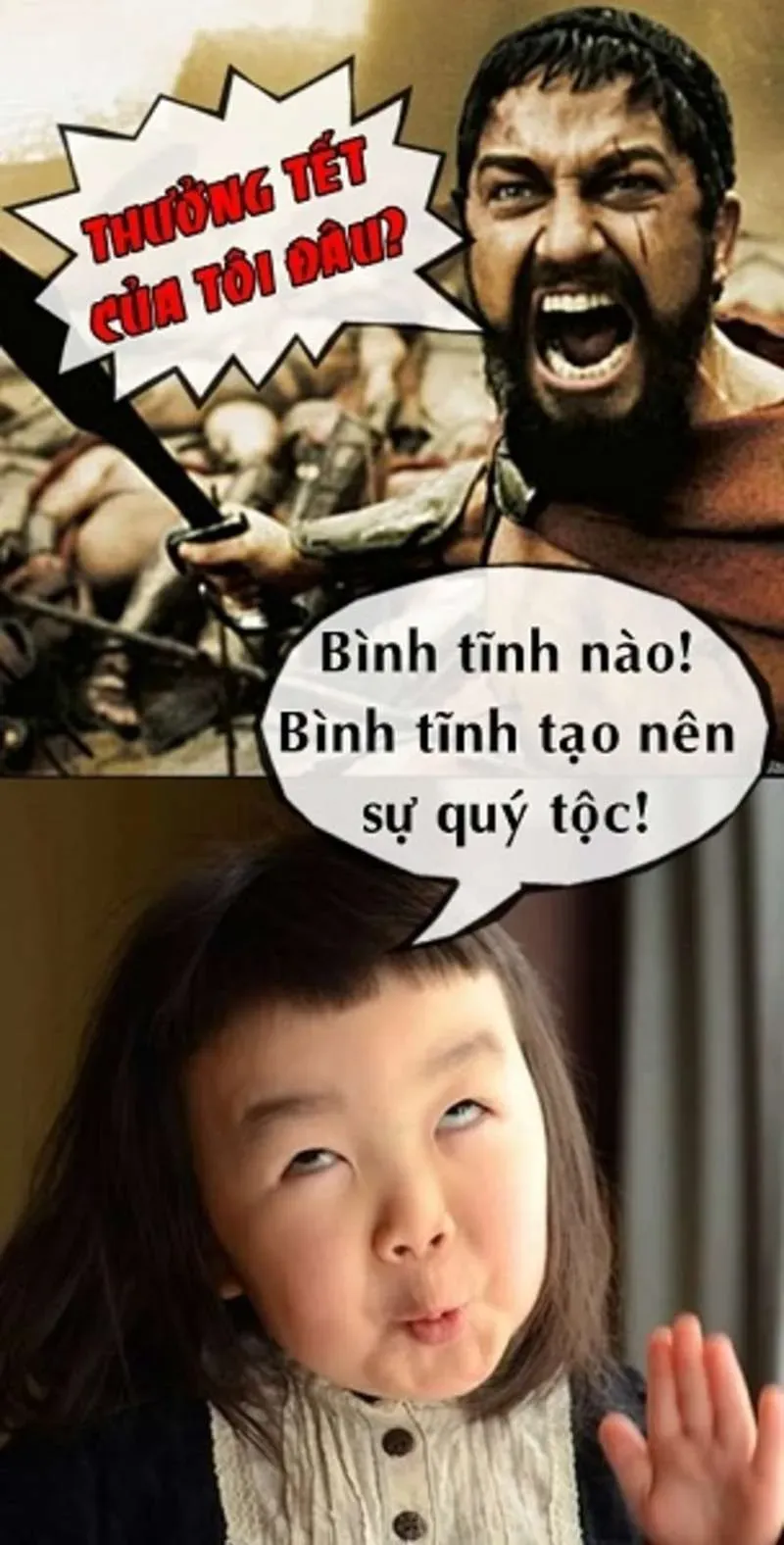 Hình ảnh mèo meme Tết dễ thương, tạo không khí rộn ràng hình mèo meme tết.