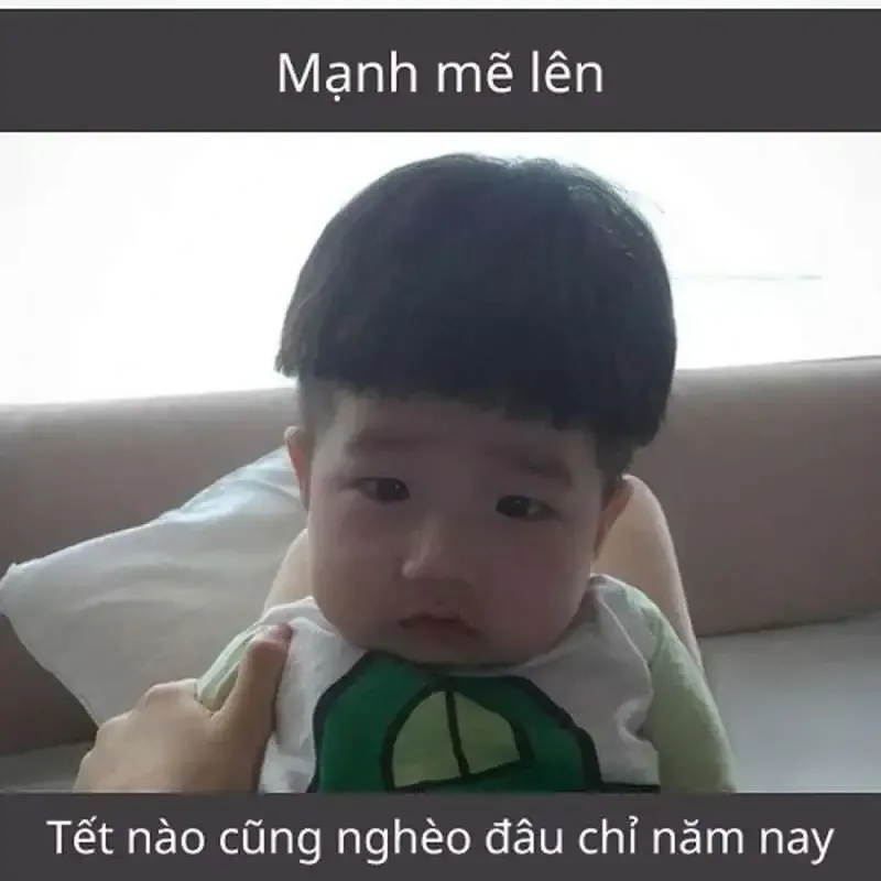 Avatar mèo meme Tết nổi bật, hài hước dành riêng cho bạn avt mèo tết meme.