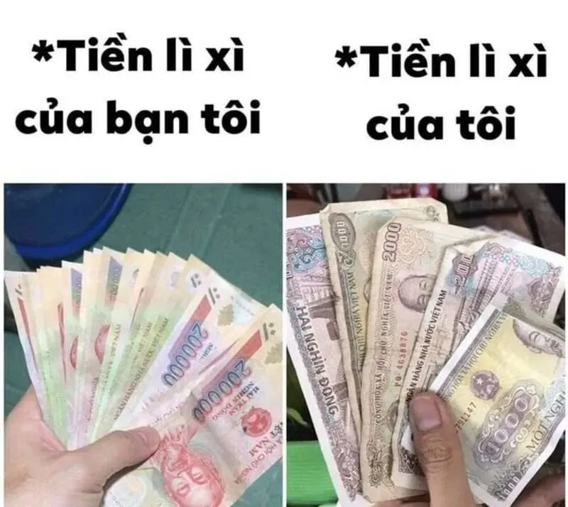 Meme mèo Tết 2024 độc đáo, hài hước cho một năm mới vui vẻ meme mèo tết 2024.