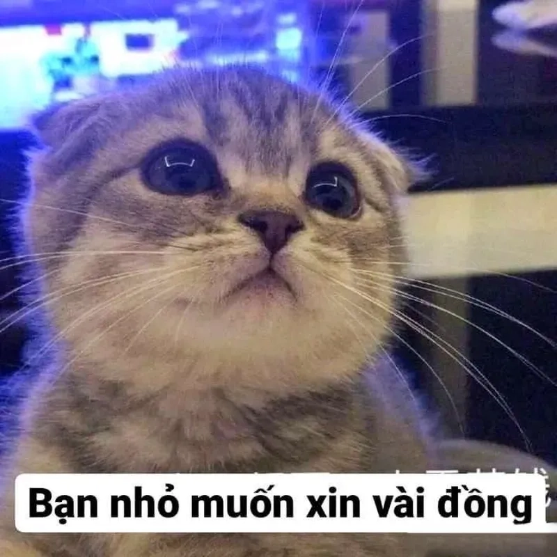 Meme đưa tiền đây khiến bạn không thể nhịn cười.