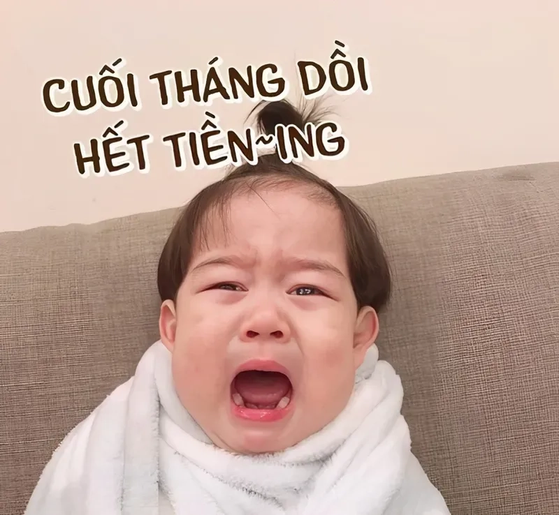 Tiền đâu meme luôn làm người xem không thể nhịn cười.