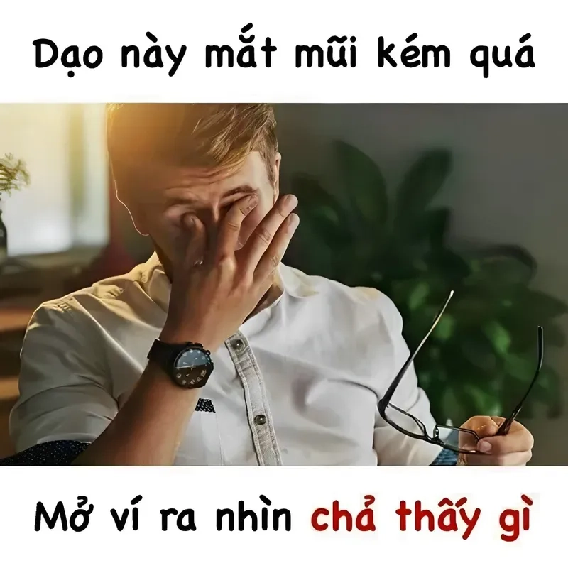 Ảnh cho tiền meme tạo ra những khoảnh khắc vui nhộn và đầy sắc màu.