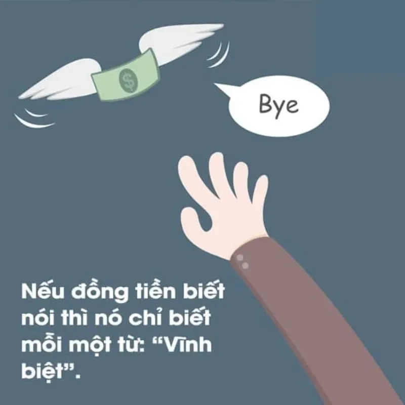 Mèo meme xin tiền mang lại tiếng cười đáng yêu từ những chú mèo.