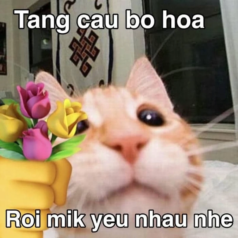 Ảnh meme tình yêu cute phù hợp cho những giây phút ngọt ngào.