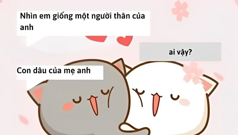 Meme mèo hun ngộ nghĩnh, khiến mọi người bật cười thích thú.