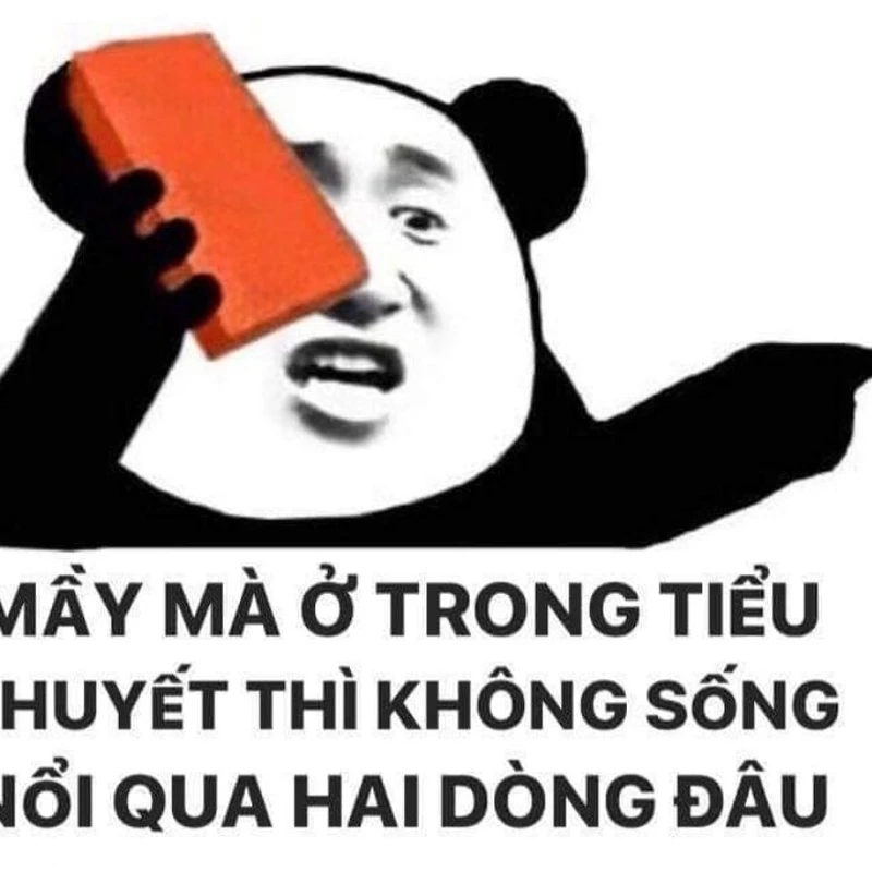 Meme panda Trung Quốc cực kỳ dễ thương, không thể bỏ qua những khoảnh khắc đáng yêu này.