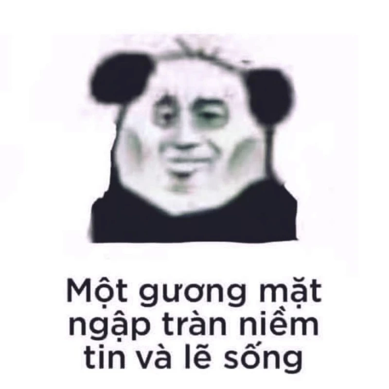 Meme mèo béo Trung Quốc cực kỳ đáng yêu, khiến bạn không thể rời mắt.