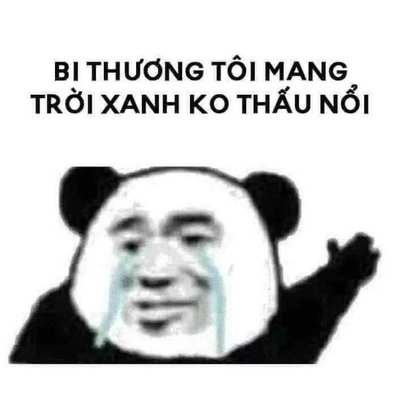 Meme nằm khóc cực kỳ hài hước, mang đến những phút giây thư giãn tuyệt vời.