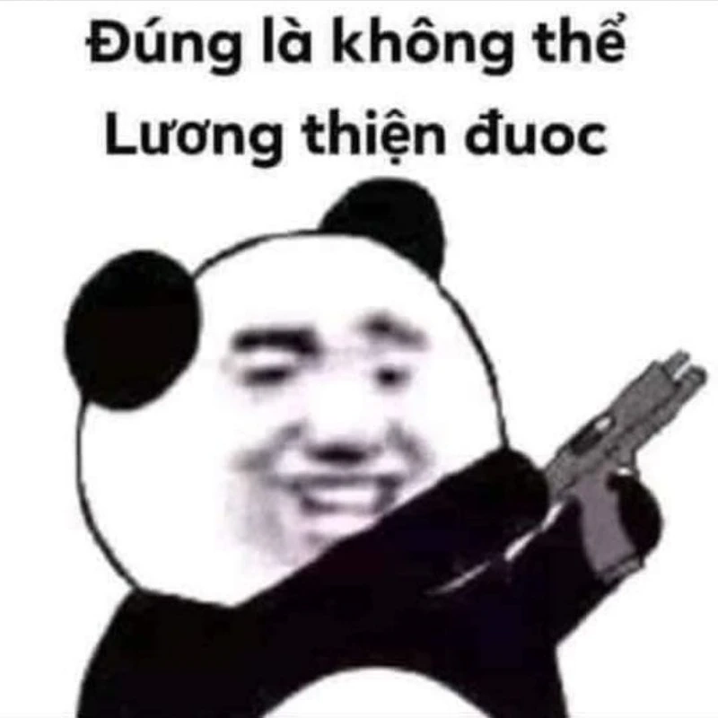 Meme Trung Quốc gấu trúc hài hước luôn khiến bạn phải thả tim ngay.