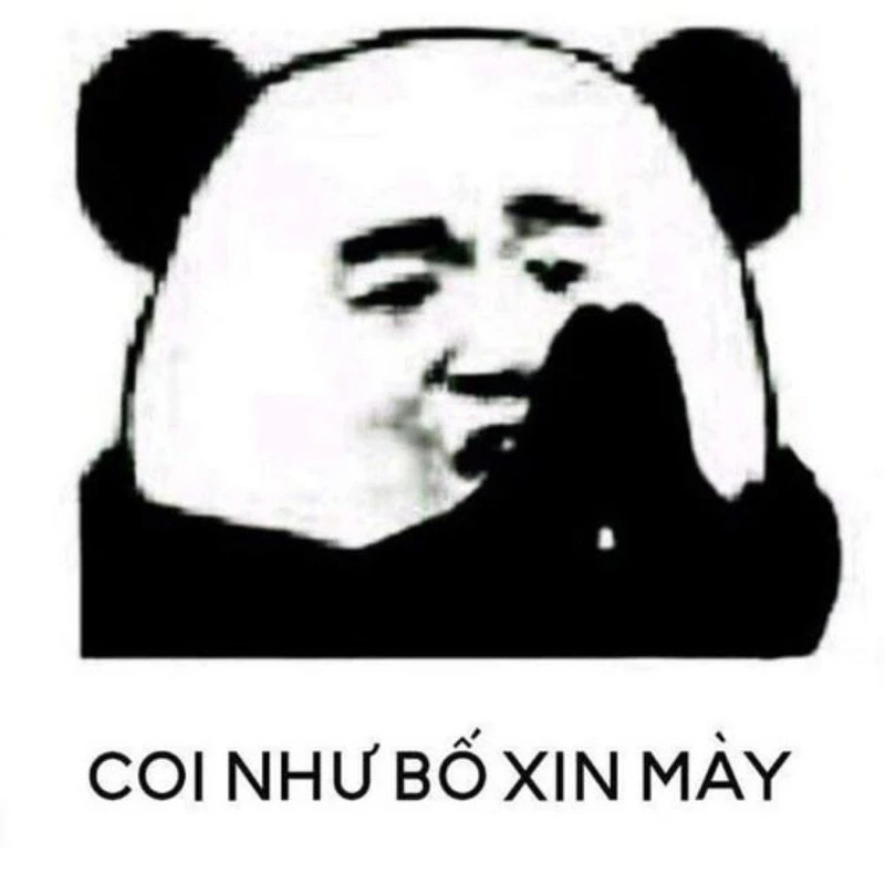 Meme mèo có chữ cực kỳ dễ thương, bạn sẽ không thể dừng lại vì quá đáng yêu.