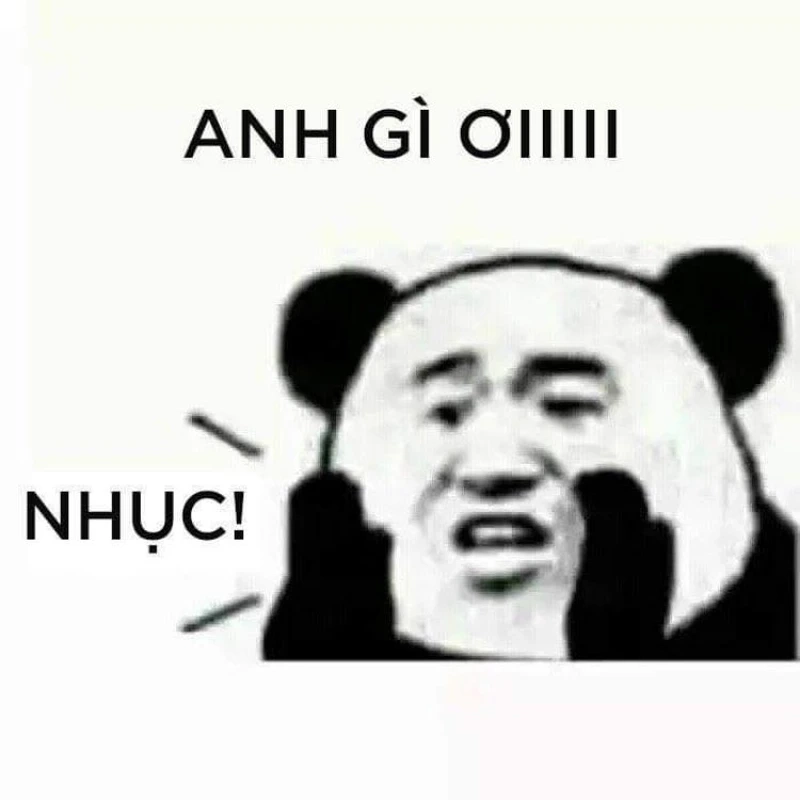 Hải ly Trung Quốc meme cực kỳ dễ thương và hài hước, bạn sẽ không thể bỏ qua.