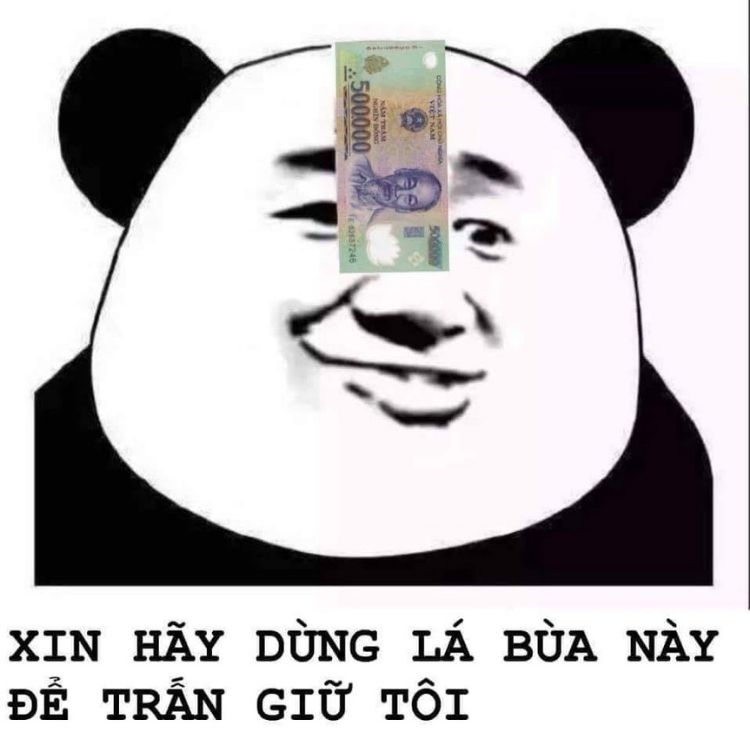 Meme tức giận mèo cực kỳ dễ thương, khiến bạn không thể ngừng cười.