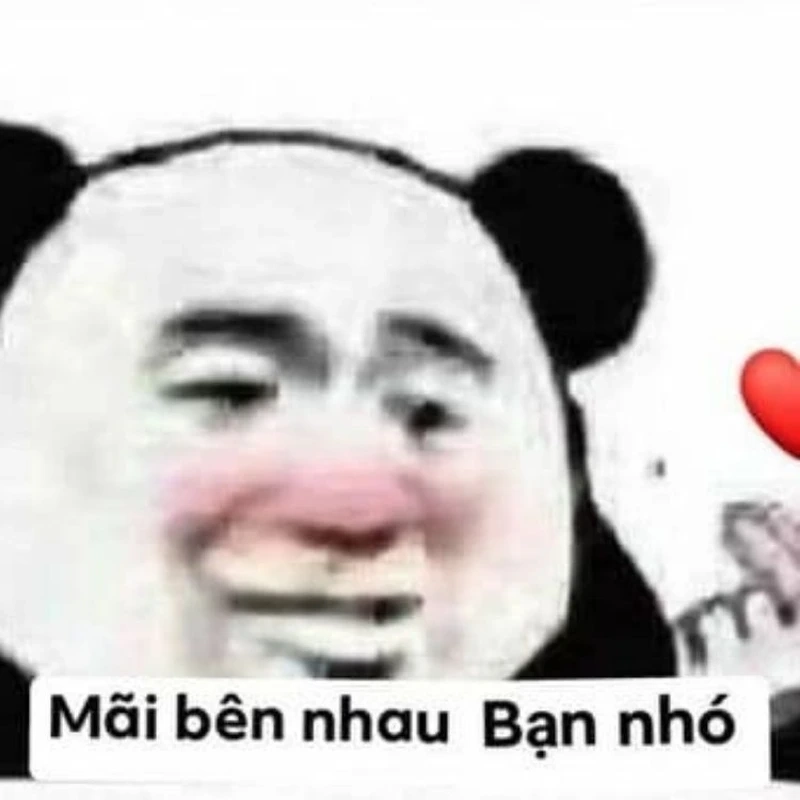 Meme thả thính Trung Quốc dễ thương, đầy hài hước và ngập tràn tình cảm.